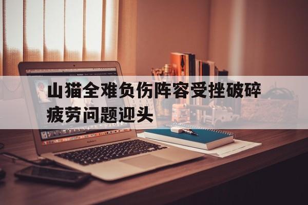 开元官网登录入口-山猫全难负伤阵容受挫破碎疲劳问题迎头